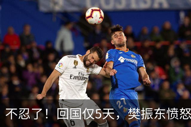 不忍了！回国仅5天，樊振东愤怒发声，没想到刘国梁早期担心成真