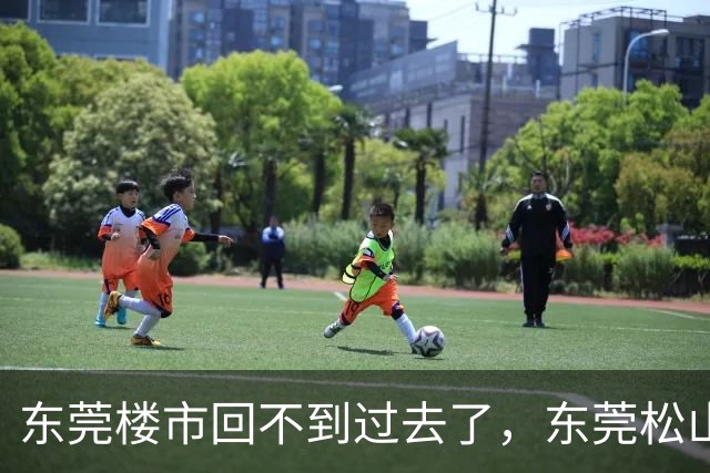东莞楼市回不到过去了，东莞松山湖待售二手房就从2047套增加到2246套