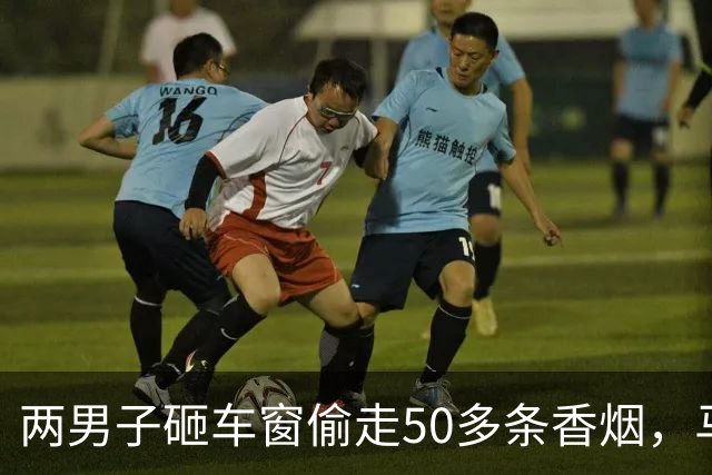 两男子砸车窗偷走50多条香烟，马上打车出省，还没来得及销赃杭州警察就上了门