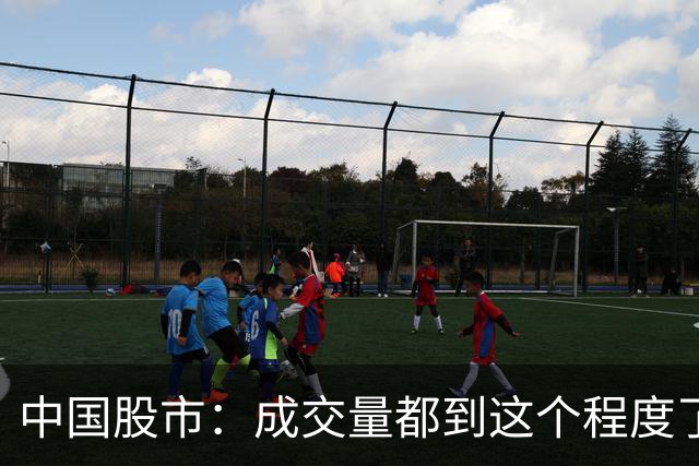 中国股市：成交量都到这个程度了，千万要拿好，很可能变成大牛股