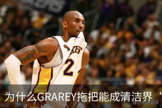 为什么GRAREY拖把能成清洁界“端水大师”？