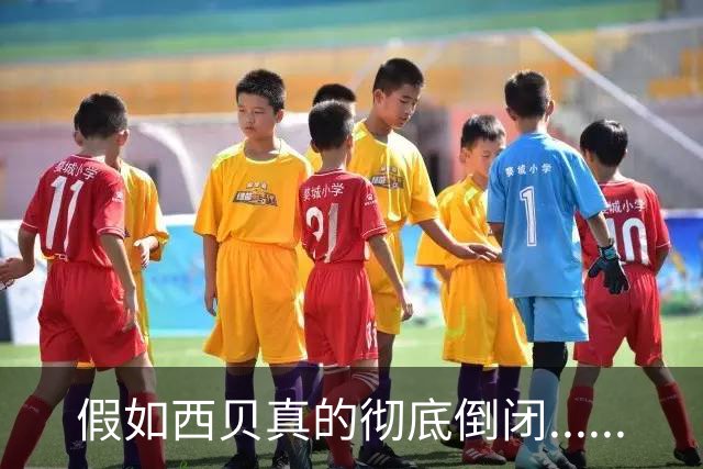 假如西贝真的彻底倒闭......