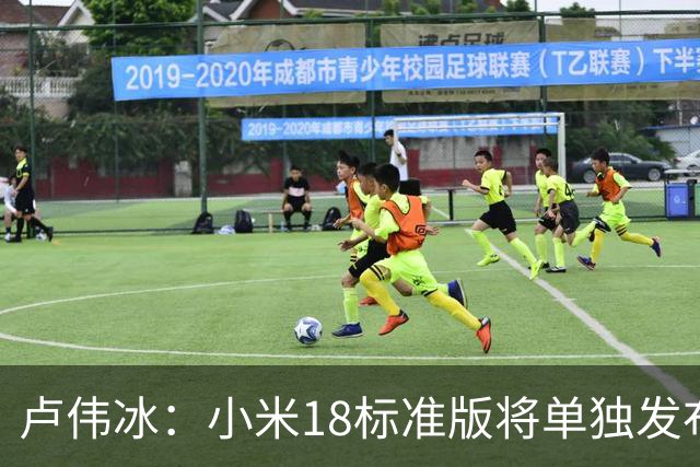 卢伟冰：小米18标准版将单独发布