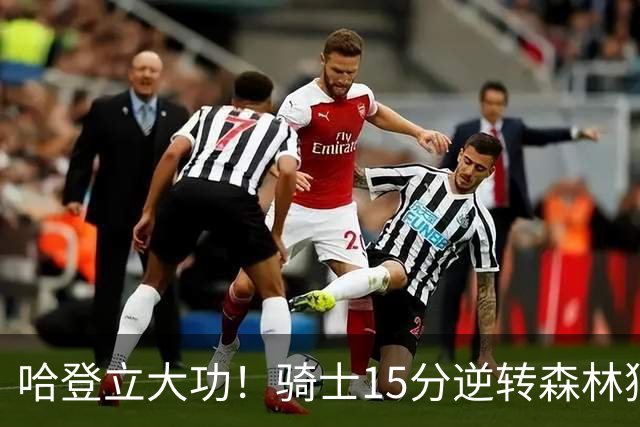 哈登立大功！骑士15分逆转森林狼 华子47分 米切尔26+7+5