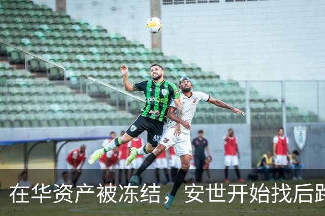 在华资产被冻结，安世开始找后路，中方接到消息，印度已经介入
