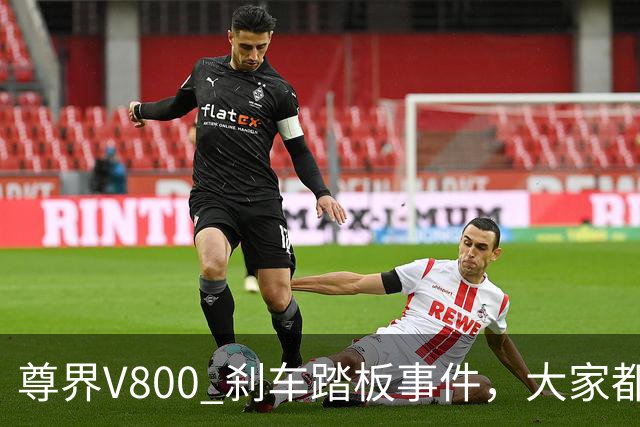 尊界V800 刹车踏板事件，大家都输了！
