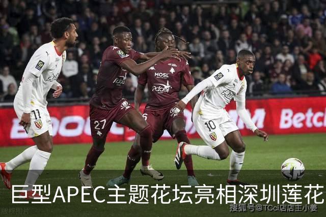 巨型APEC主题花坛亮相深圳莲花山公园
