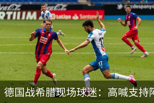 德国战希腊现场球迷：高喊支持阿德耶米，只为盖过辱骂