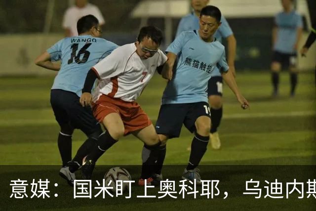 意媒：国米盯上奥科耶，乌迪内斯要价2000万欧