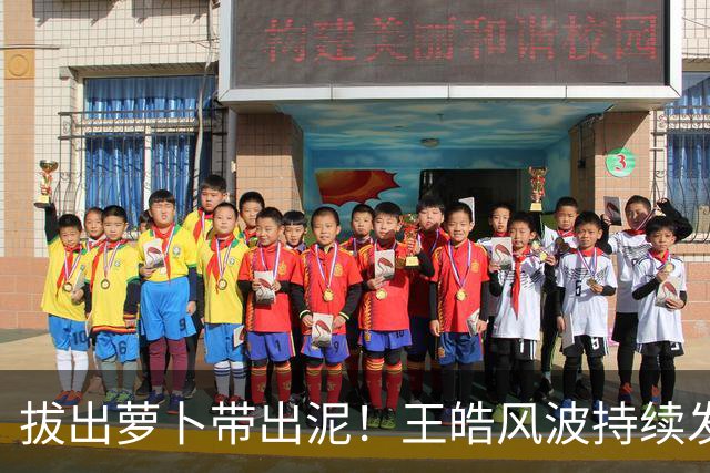 拔出萝卜带出泥！王皓风波持续发酵，报警竟意外将半个饭圈拉下水