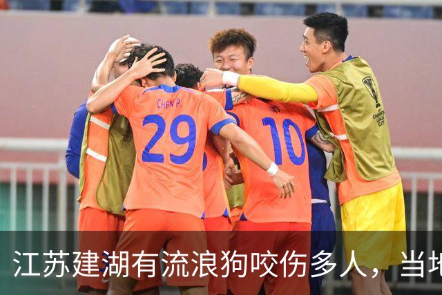 江苏建湖有流浪狗咬伤多人，当地：疯狗已被处理，已有被咬人员接种狂犬病疫苗