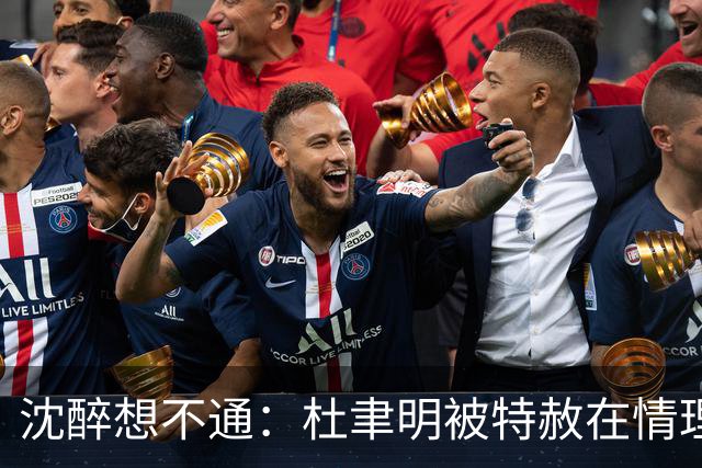 沈醉想不通：杜聿明被特赦在情理之中，蒋介石贴身保镖竟也获赦？