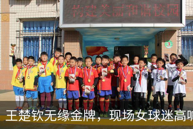 王楚钦无缘金牌，现场女球迷高喊“林诗栋上一单” 国乒教练组听见了