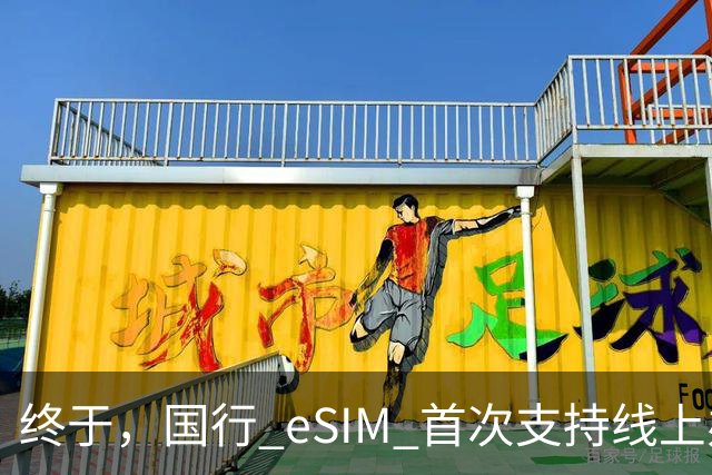 终于，国行 eSIM 首次支持线上办理！