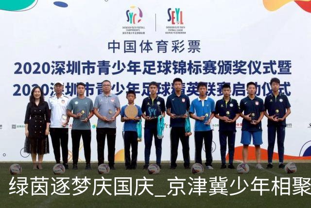 绿茵逐梦庆国庆 京津冀少年相聚曲周 ——2026 “凤凰杯” 京津冀青少年足球精英赛在曲周举行