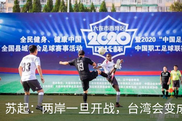 苏起：两岸一旦开战，台湾会变成加沙。台湾网民：打就打，谁怕谁