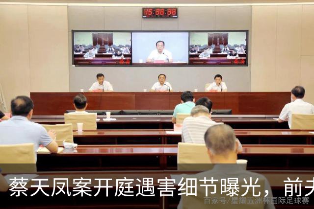 蔡天凤案开庭遇害细节曝光，前夫父子分头行事，车上行凶全程冷静