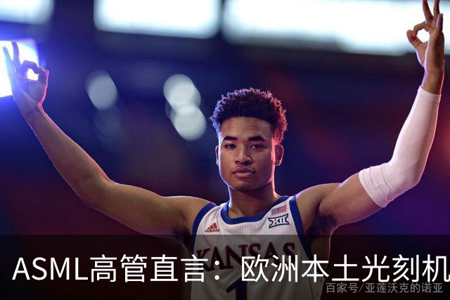 ASML高管直言：欧洲本土光刻机销量为零，半导体产业面临掉队风险