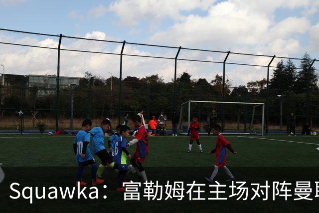 Squawka：富勒姆在主场对阵曼联的近10场比赛，未尝胜绩